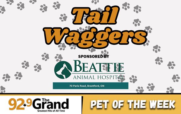 Tail Waggers  - Oshea