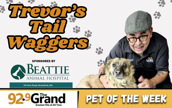 Trevor's Tail Waggers  - Spirit