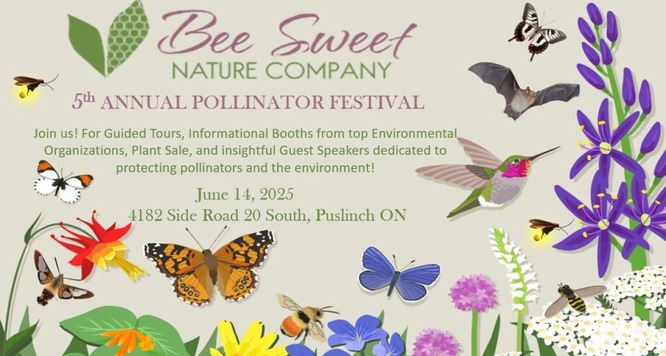 Pollinator Festival 2025 1024x547 3