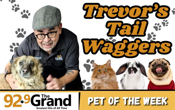 Trevor's Tail Waggers