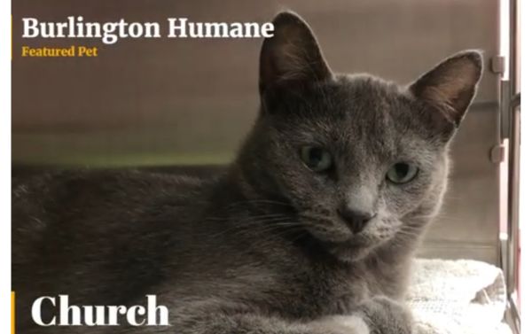 chruch