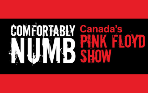 Comfortably Numb - Canada's Pink Floyd Show