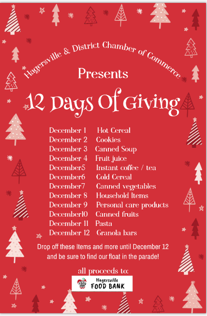 12 days of giving 2025